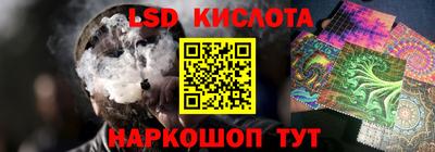 индика Будённовск