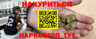 индика Будённовск