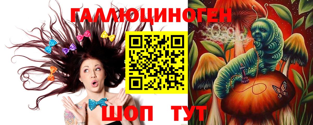 Псилоцибиновые грибы прущие грибы Кудымкар