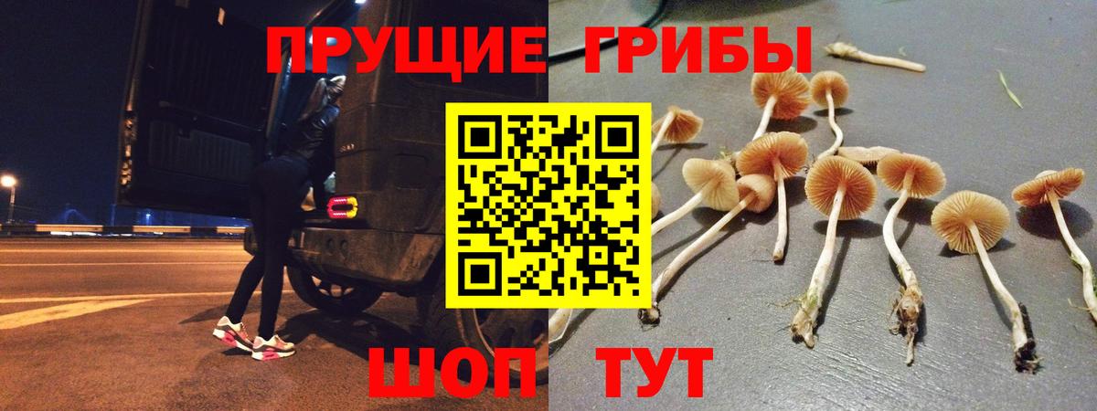 Галлюциногенные грибы мухоморы  Галлюциногенные грибы мицелий  Вход с VPN  Кудымкар 